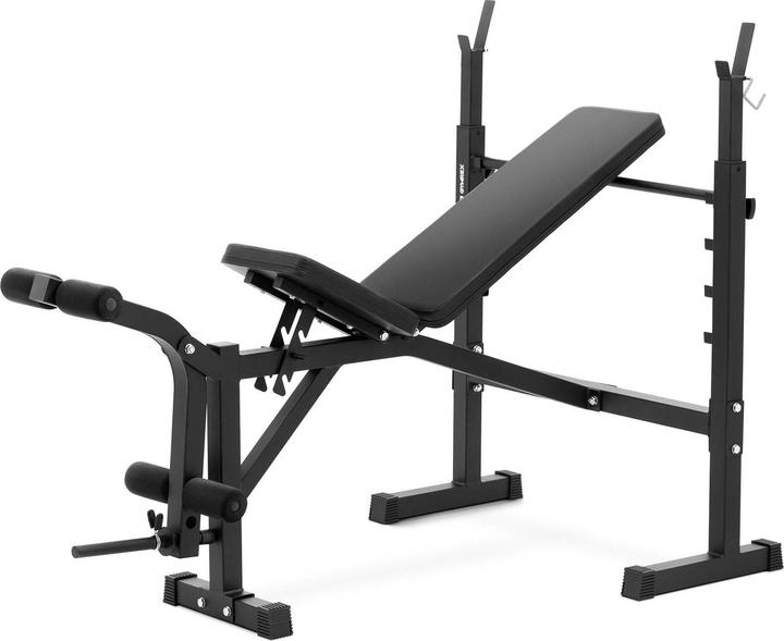 Gymrex Multifunktionshantelbank Hantelbank bis 100 kg belastbar verstellbar