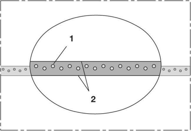 Produktbild Norres Druckschlauch NORFLEX® PUR 441 MHF Innen-Ø 6 mm Aussen-Ø 10 mm Länge 50 m