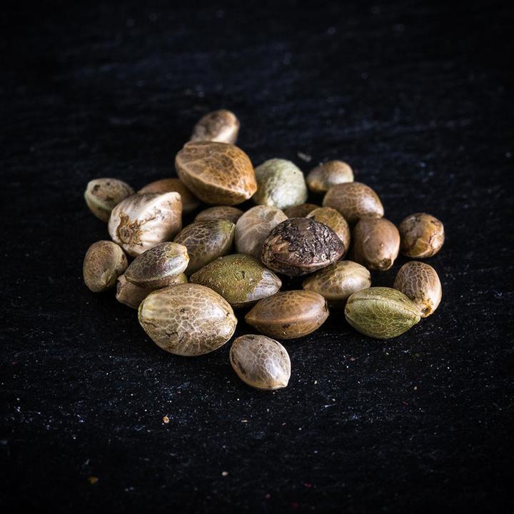 Produktbild KoRo Bio Hanfsamen ungeschält (1000g) (1000 g)