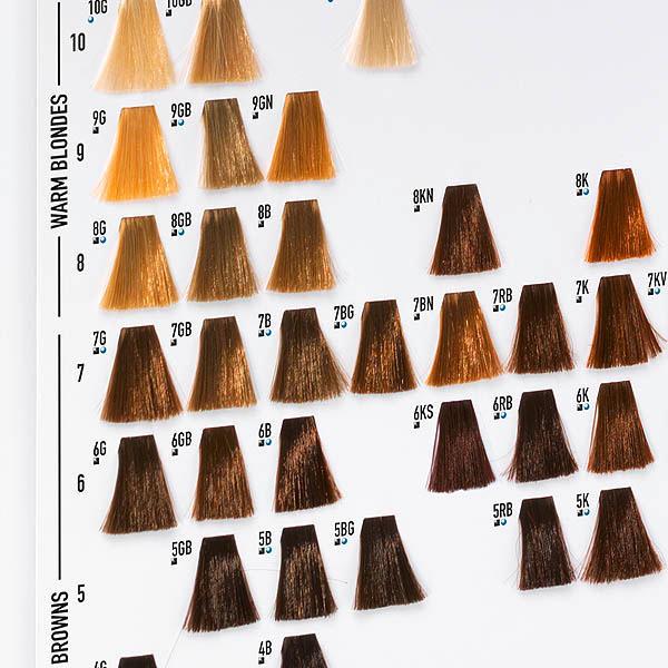Image du produit Goldwell GW nuancier Topchic/ TC/ Colorance