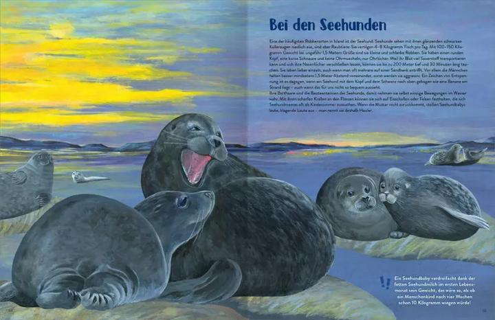 Produktbild Island (Deutsch, Corina Steffl, Heike Anita Thomas, 2023)