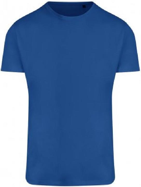 Awdis Ambaro Recycle Sport TShirt