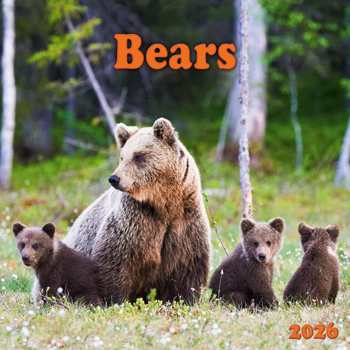 Produktbild Bears 2026 (30 x 30 cm, Spanisch, Tschechisch, Englisch, Niederländisch, Polnisch, Deutsch, Italienisch, Französisch)