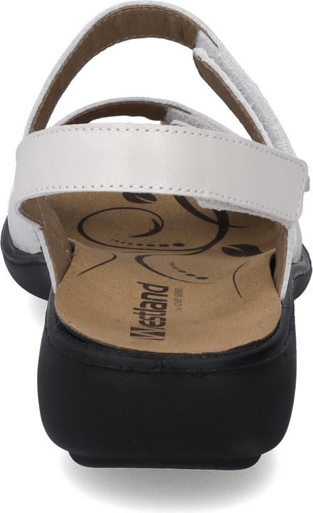 Actual product image Westland 16786-24 (43)