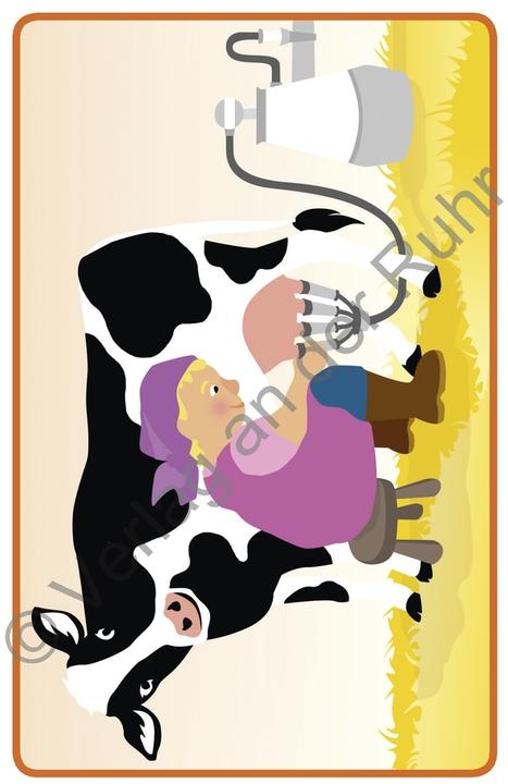 Produktbild Bildergeschichten – Tiere (Deutsch, 2020)