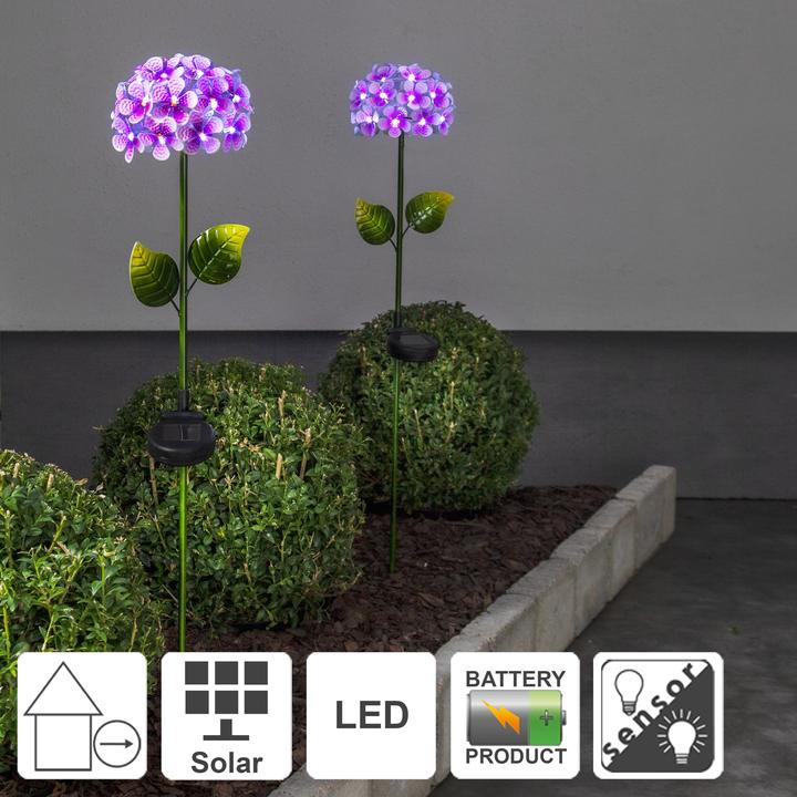 Image du produit Star Trading Hortensia (IP44)