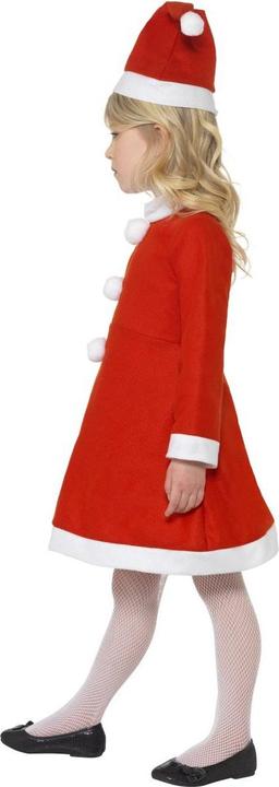 Actual product image Smiffys Santa girl (146, 152)