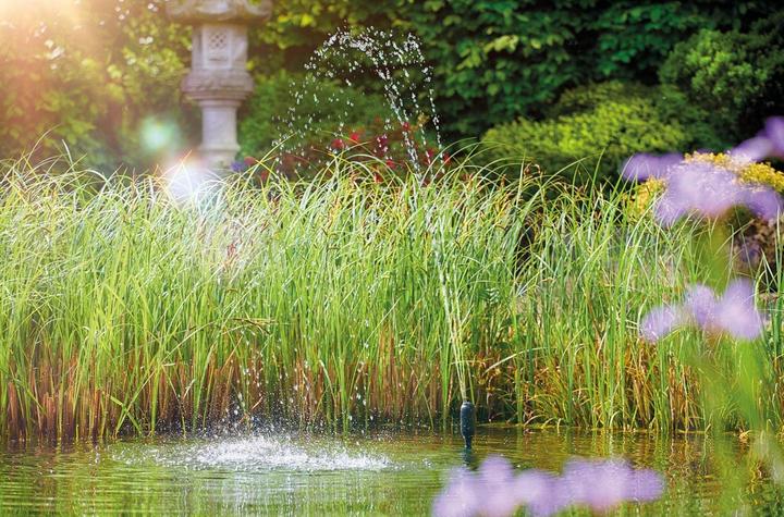 Image du produit Oase Verseau Fontaine Set 1000