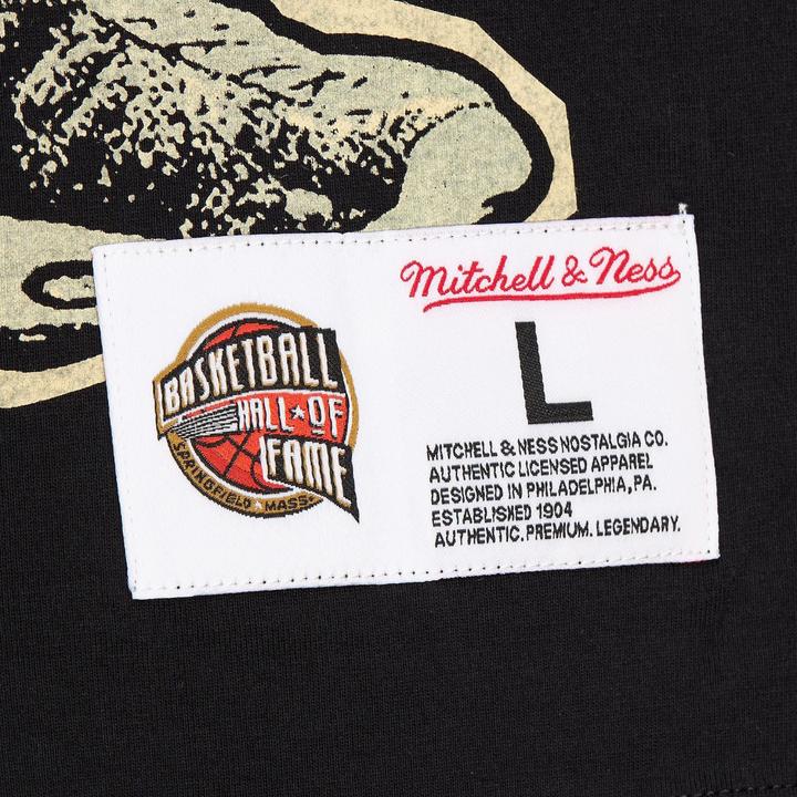 Actual product image Mitchell & Ness Vince Carter HALL OF FAME Premium Shirt schwarz - L (L)