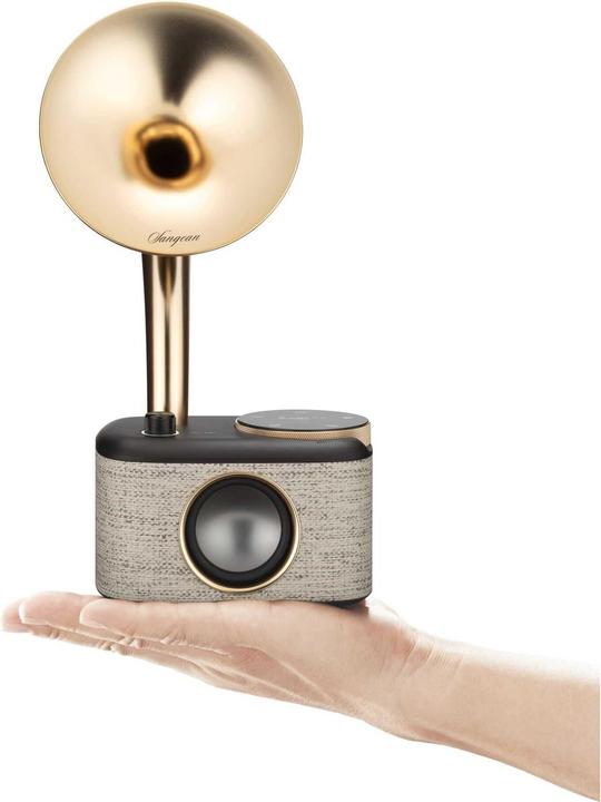 Immagine prodotto Sangean CP 100D (DAB, FM, Bluetooth)