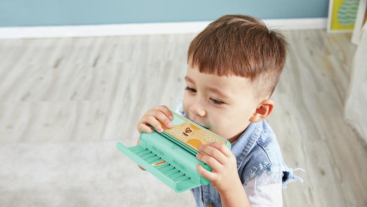 Actual product image Hape Bright learning harmonica (English, German)
