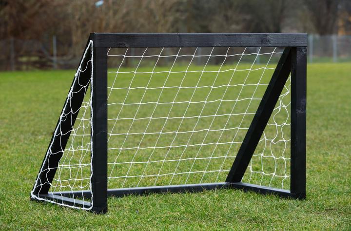 Euro Play Homegoal Pro Micro - Sort