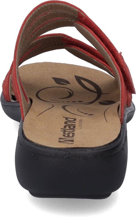 Actual product image Westland 16783-508 (43)