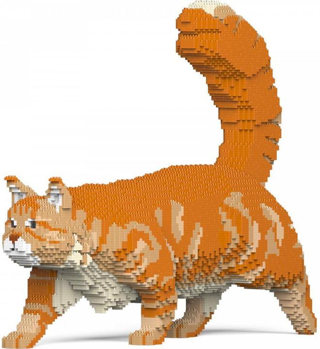 Produktbild Jekca Limited Orangene Maine Coon Katze