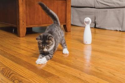Image du produit PetSafe Bolt (Jouets avec herbe à chat)