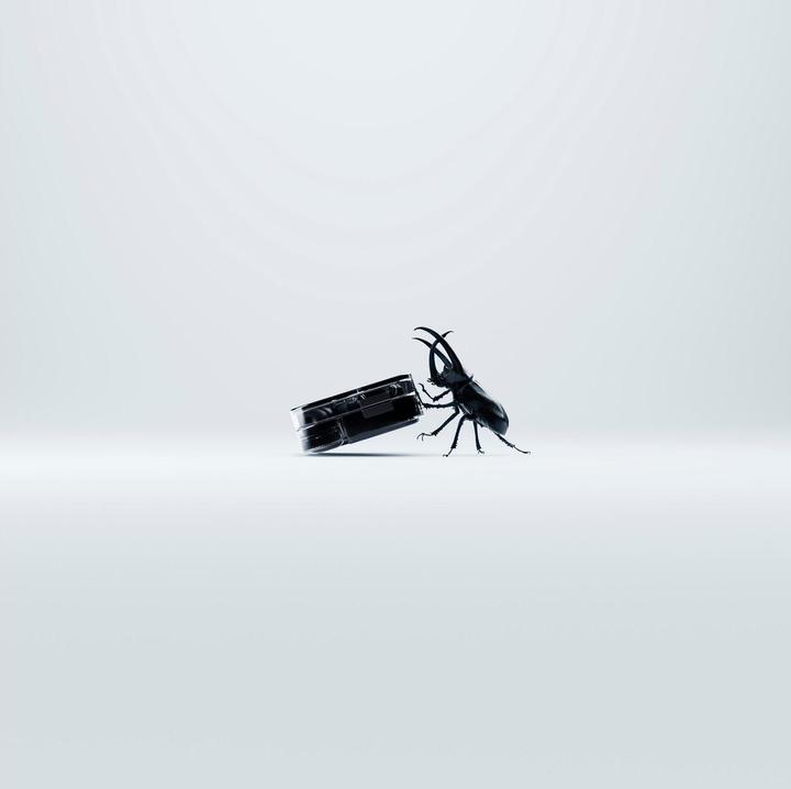 Actual product image Nothing Ear (2) (ANC, 4 h, Wireless)