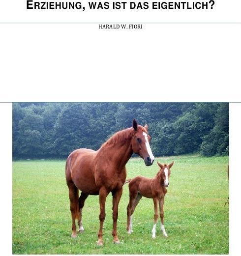 Produktbild Erziehung, was ist das eigentlich? (Harald W. Fiori, 2017)