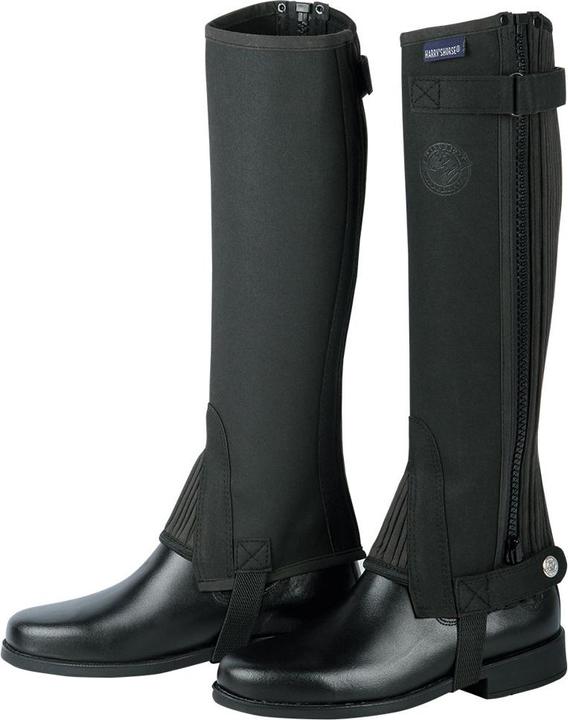 Harry's Horse ini-chaps aara