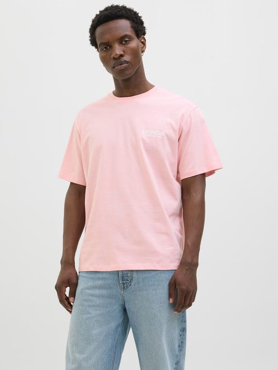 Produktbild Jack & Jones Jorbotaniq Tee Ss Crew Neck Tg Ln (M)