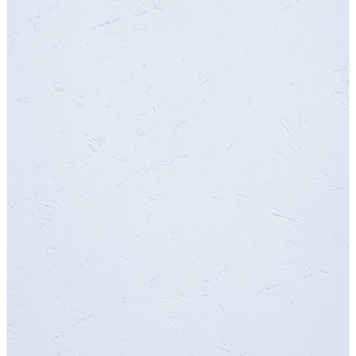 Produktbild Exacompta Einbanddeckel Evercover 270 g/m², 100 Stück, Weiss