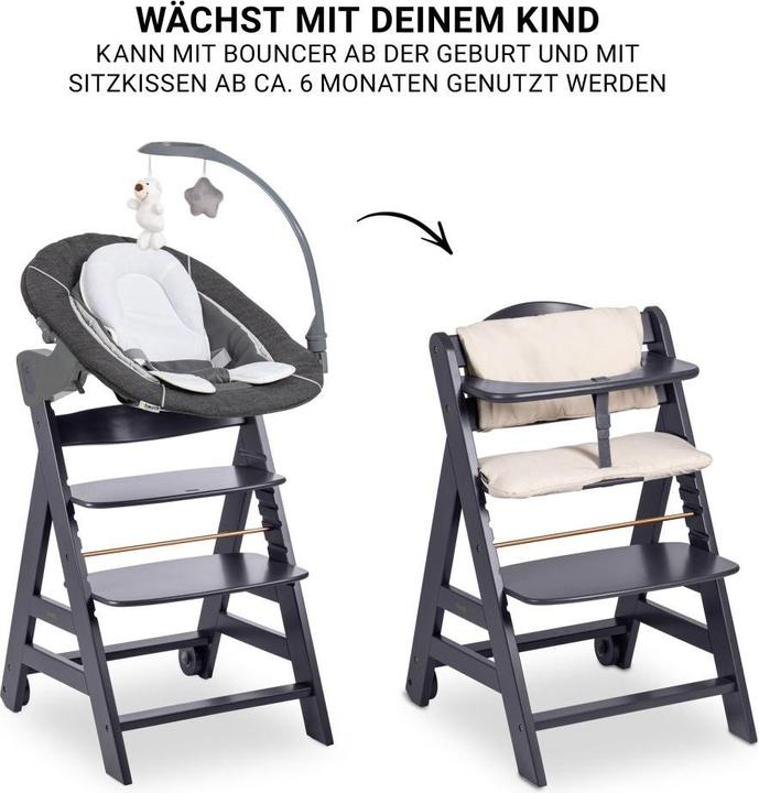 Immagine prodotto Hauck Beta Plus Set Deluxe (Seggiolone)