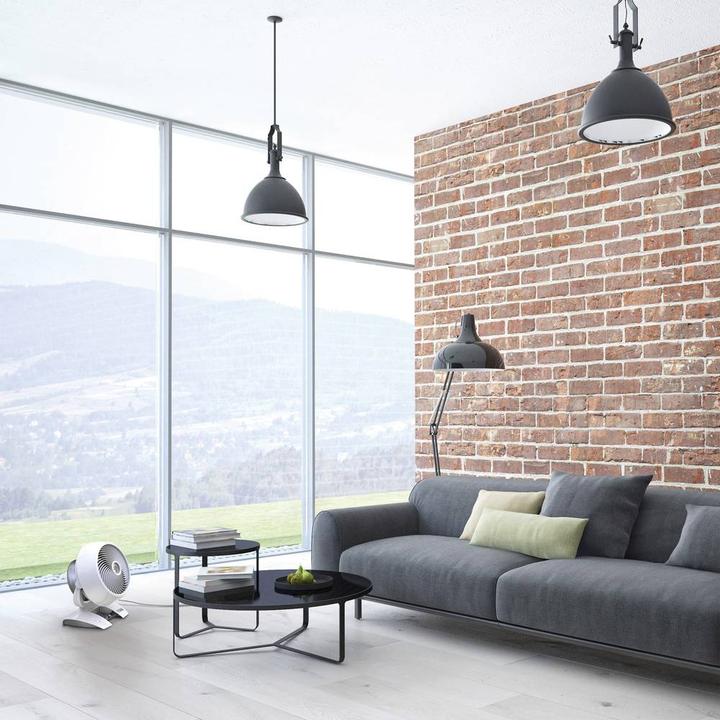 Productafbeelding Vornado 6303dc