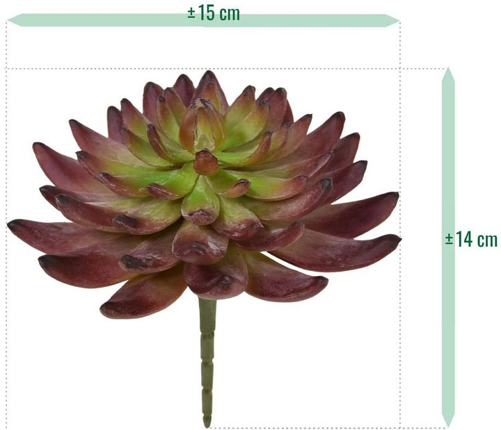 Produktbild Botanic-Haus Kunstpflanze Echeveria Kaktus 14 cm, Produkttyp (14 cm)