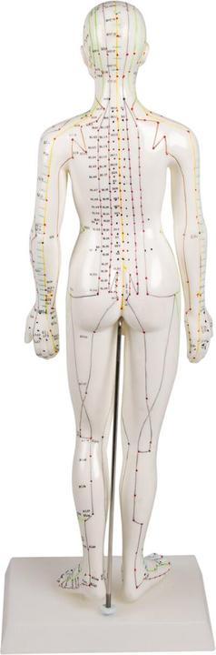 Immagine prodotto Erler Zimmer Figura di agopuntura cinese, donna