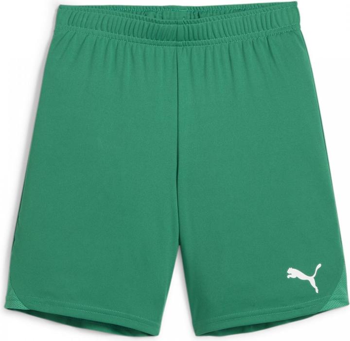 Actual product image Puma teamGOAL Shorts Jr (164)