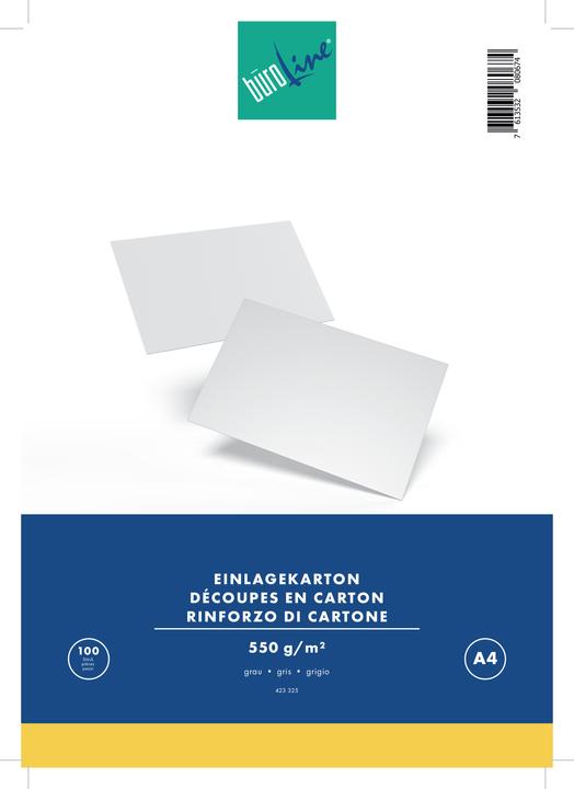 BüroLine Carton d'insertion pour A4 (210 x 297 mm, 100 x)