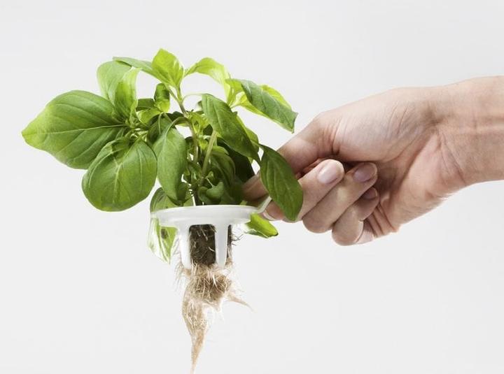 Immagine prodotto Plantui Giardino intelligente 6 (29 cm)
