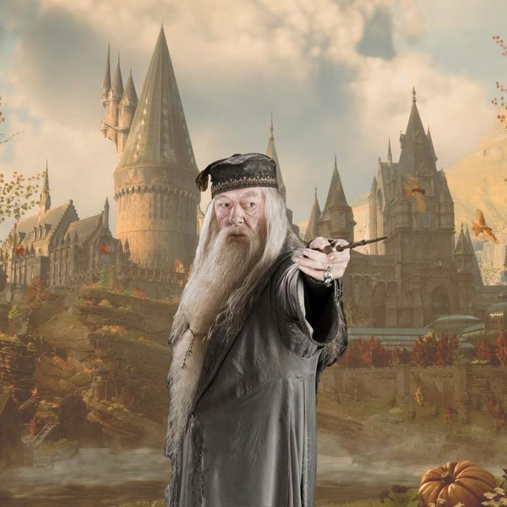 Produktbild Noble Collection Zauberstab Albus Dumbledore