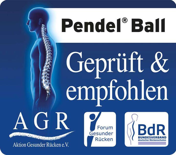 Produktbild Togu Pendel Ball ABS Flieder