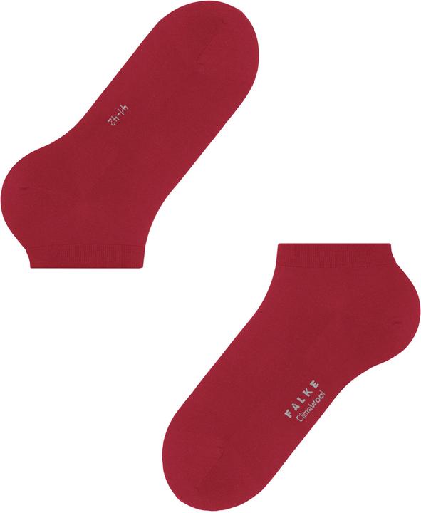 Actual product image Falke ClimaWool SN (Single pack, 41 - 42)