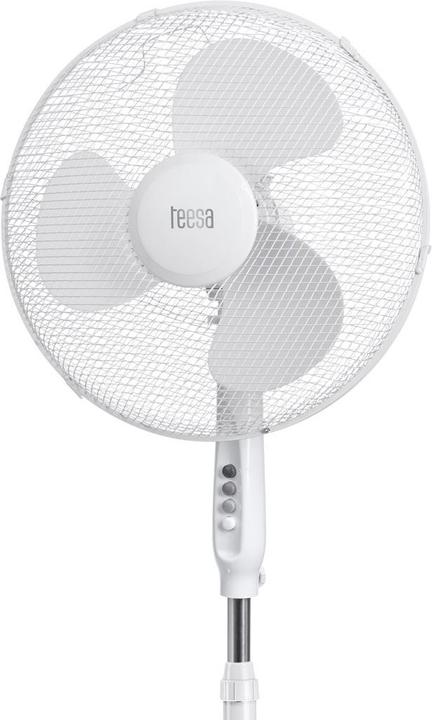 Actual product image Teesa TSA8022, belt