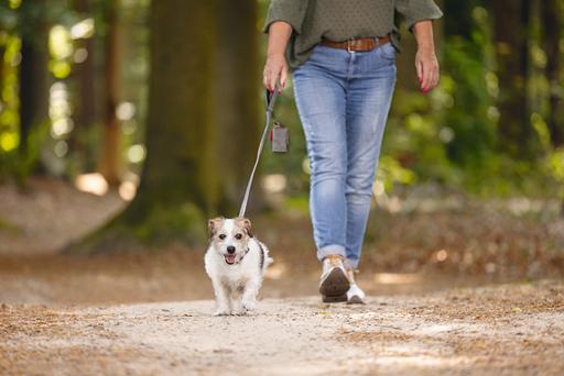 Immagine prodotto Beeztees BZ BALACRON LINEA AX BRN 100X1 (100, Cane, Generale)