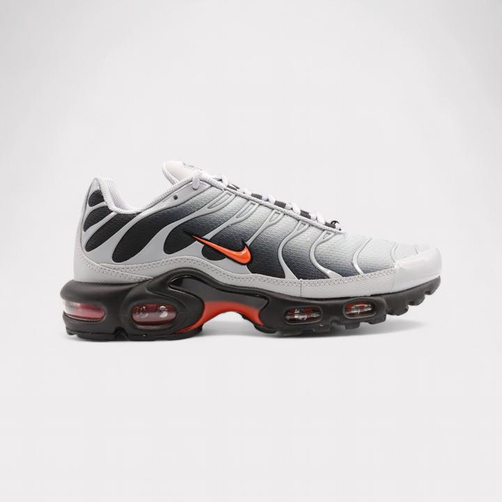 Nike Air Max Plus (41)
