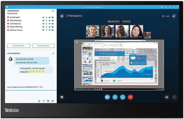 Lenovo ThinkVision M15 (1920 x 1080 Pixel, 15.60")