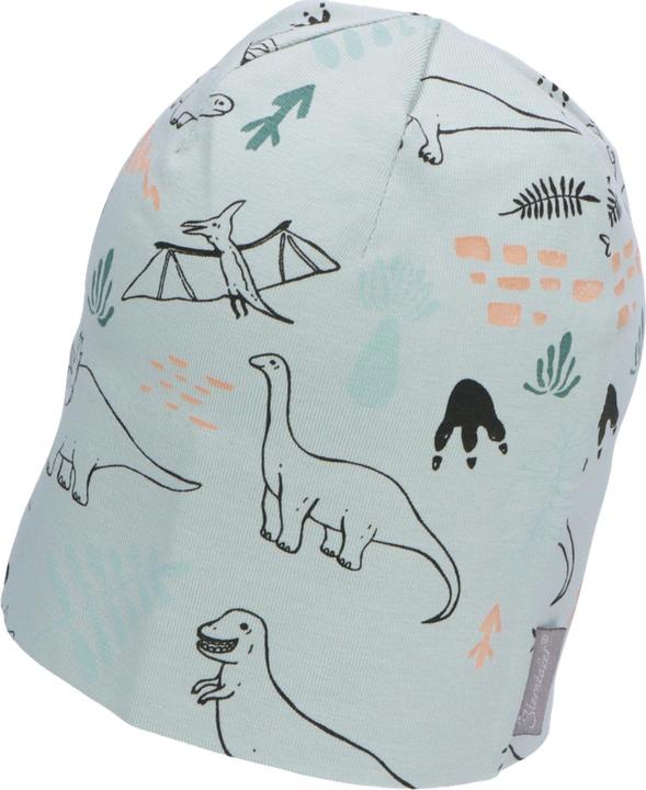 Sterntaler Kinder Übergangsmütze Dinosaurier (49)