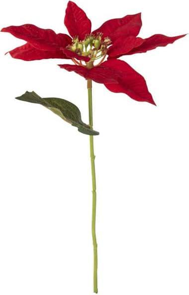 DPI Poinsettia flower, L 30 cm, red