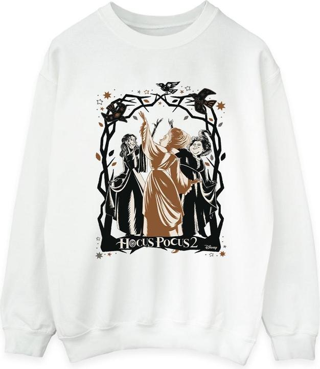 Disney Hocus Pocus Birds Sweatshirt (XXL)