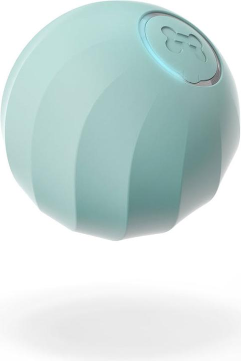Actual product image Cheerble Ice Cream (Ball toy dog)