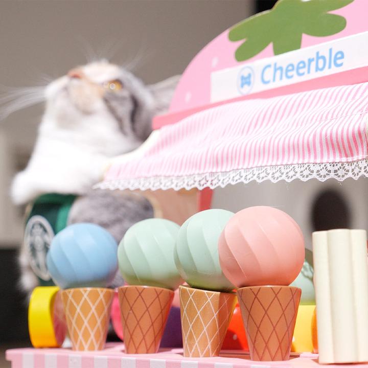 Actual product image Cheerble Ice Cream (Ball toy dog)
