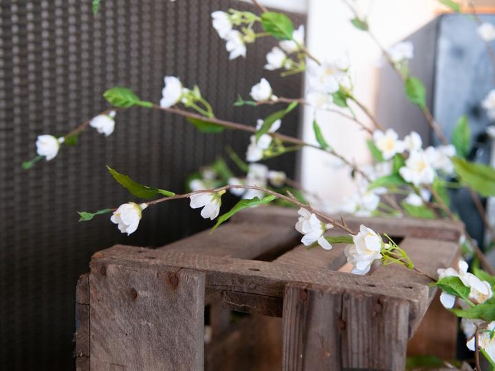 Actual product image Europalms Cherry branch, artificial, white, 60cm (60 cm)