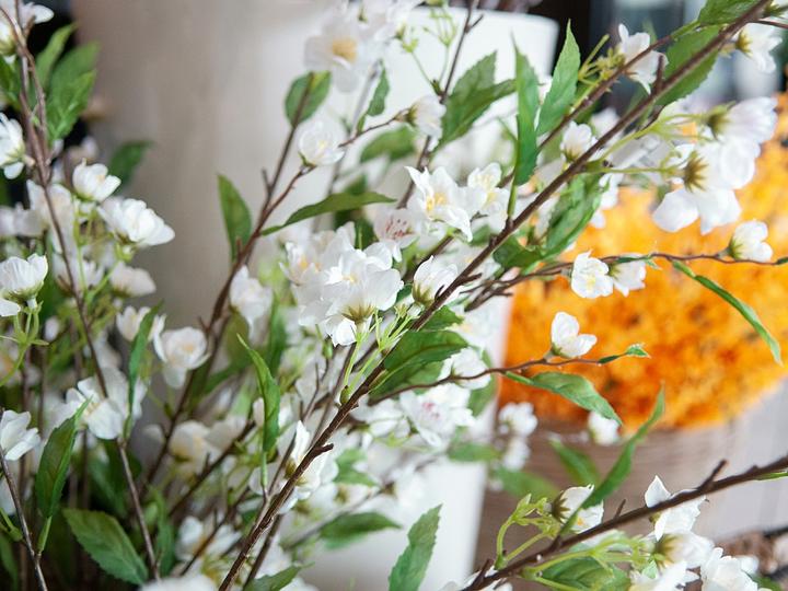 Actual product image Europalms Cherry branch, artificial, white, 60cm (60 cm)