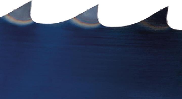 Produktbild Holzstar Sägeband 2490 x 16,0 x 0,5 mm, 4 ZpZ