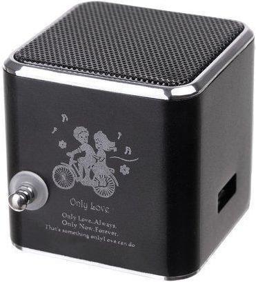 Roger Altoparlante wireless Bluetooth con radio FM (Batteria ricaricabile)
