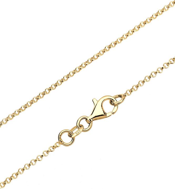 Immagine prodotto Elli Collana Ferro di cavallo Luck Zirconia Argento 925 (Argento 925, Zirconia, 45 cm)