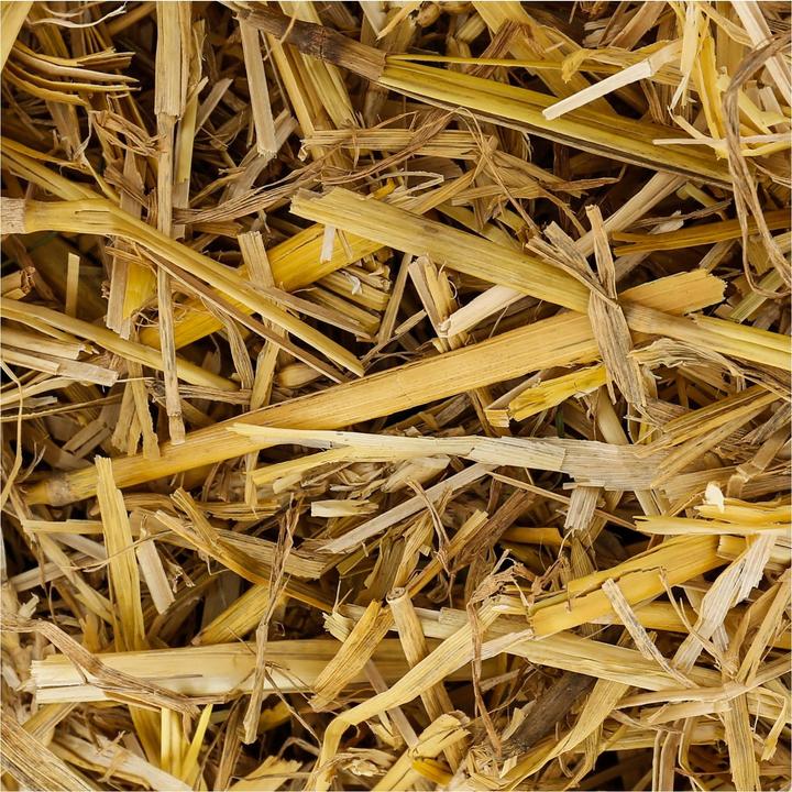 Schweizer Rodent Straw (4 kg, Straw)