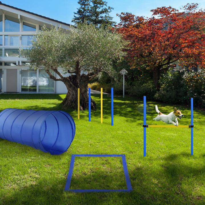 Produktbild PawHut Agility Set (One Size, Agility)